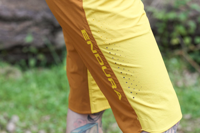 2021 endura singletrack W short panel.jpg