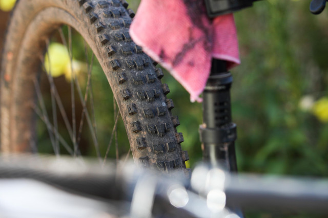 2021 ex enduro diary rear.jpg