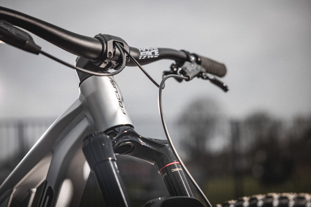 2021 focus jam head tube.jpg