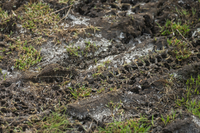 2021 frost mud tyre tracks gravel mountain bike tyre tracks.jpg