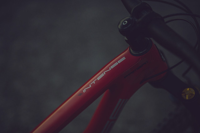 2021 intense primer s top tube.jpg