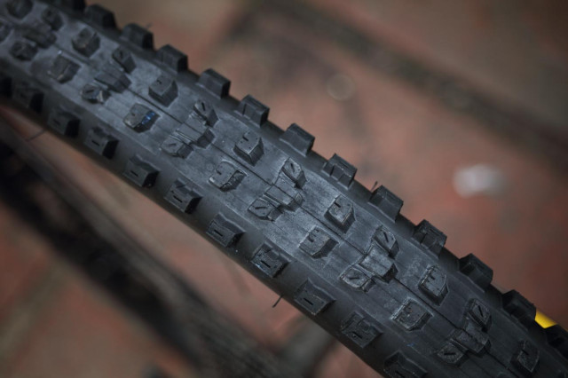 2021 maxxis dissector diag.jpg