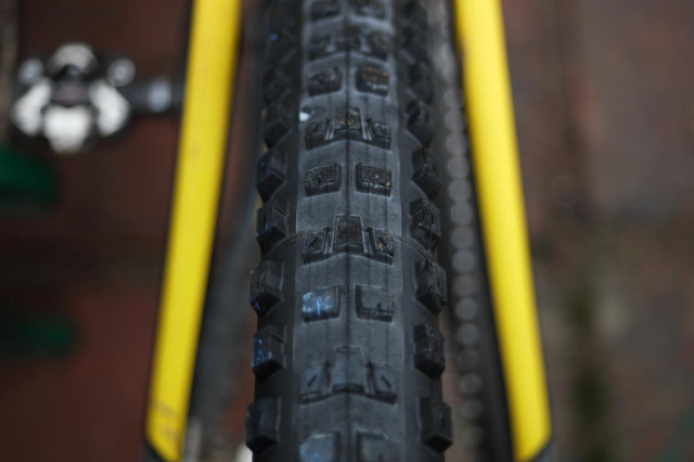 2021 maxxis dissector in rear.jpg