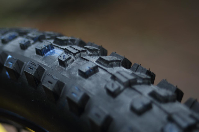 2021 maxxis dissector tread close 1.jpg
