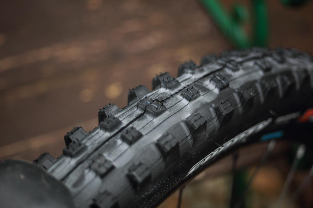2021 maxxis shorty 2.jpg