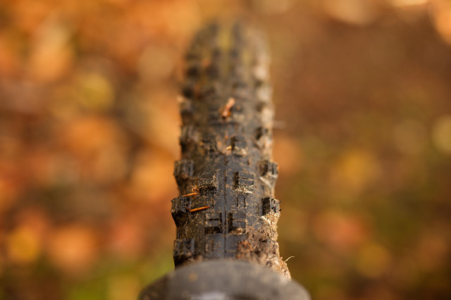 2021 maxxis shorty gen 2 tread vert.jpg