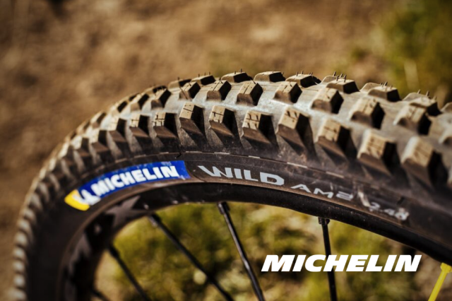 2021 michelin wild am side.png