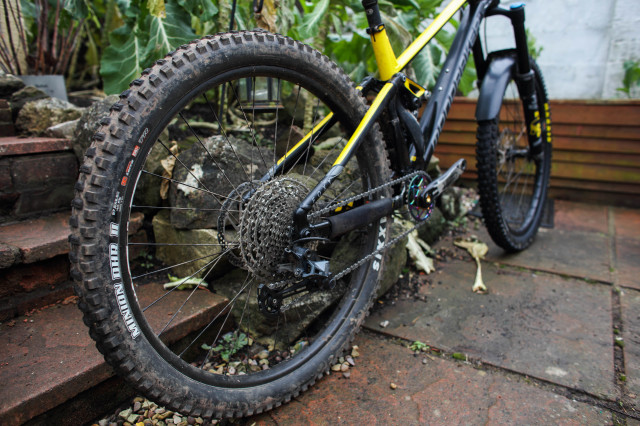 2021 mullet rear wheel.jpg