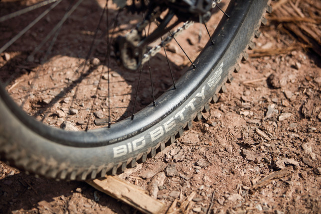 2021 privateer 161 rear tyre.jpg