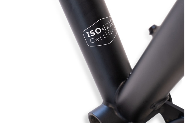 2021 rapide Tigre BB downtube.jpg