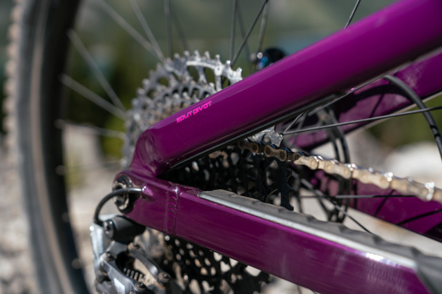 2021 salsa blackthorn SP.jpg