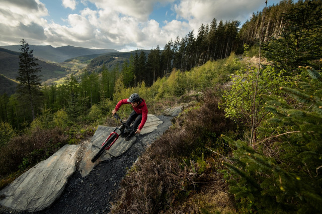 2021 santa cruz bronson action 1.jpg