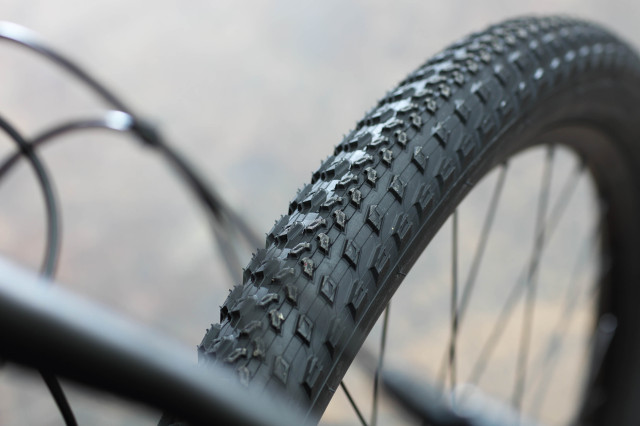 2021 specialized epic comp first look tyre.jpg