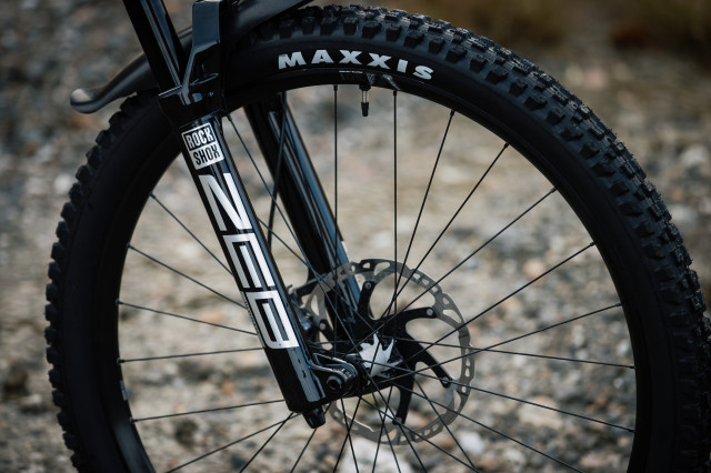 2021 vitus e-sommet front wheel.jpg