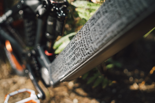 2021 vitus e-sommet repsol down tube.JPG