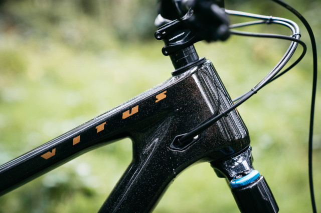 2021 vitus escarpe head tube.jpg