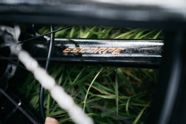 2021 vitus escarpe seatstay.jpg