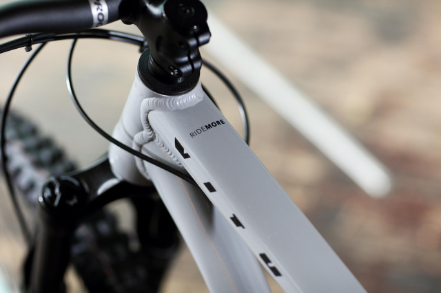 2021 vitus sentier 27 vr TT logo.jpg