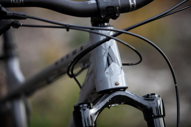 2021 vitus sentier 27 vr head badge.jpg