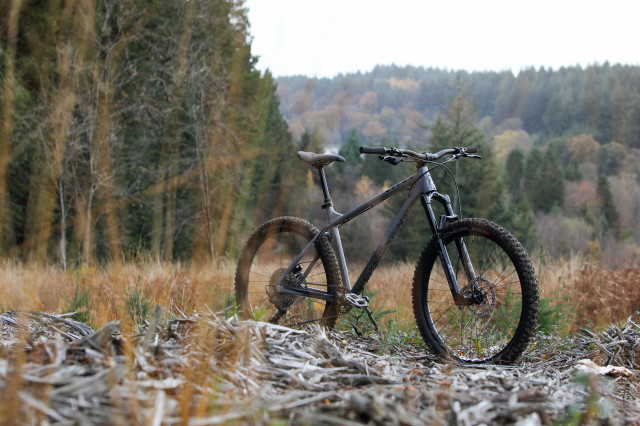 2021 vitus sentier 27 vr hero.jpg