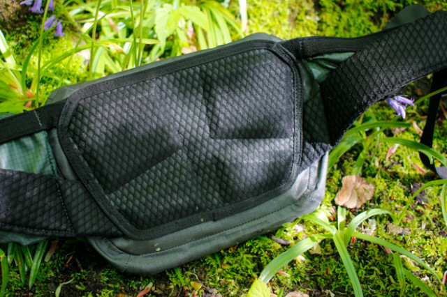 2022 Apidura Backcountry Hip Pack padding.jpg