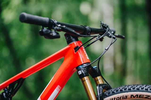 2022 BMC-Fourstroke head tube.jpg