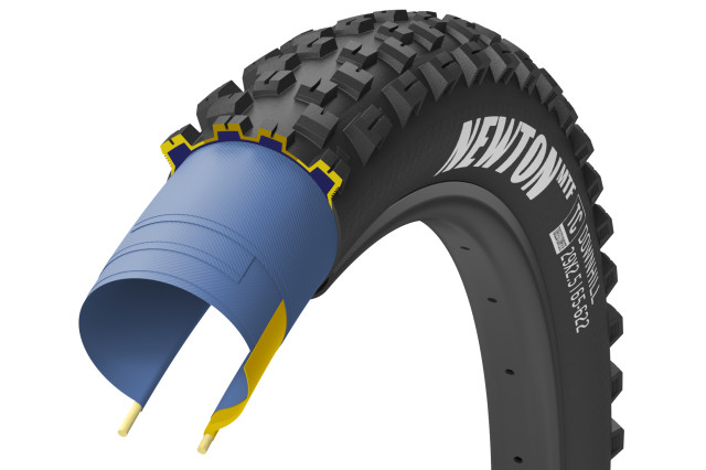 2022 Newton MTF Downhill tech.jpg