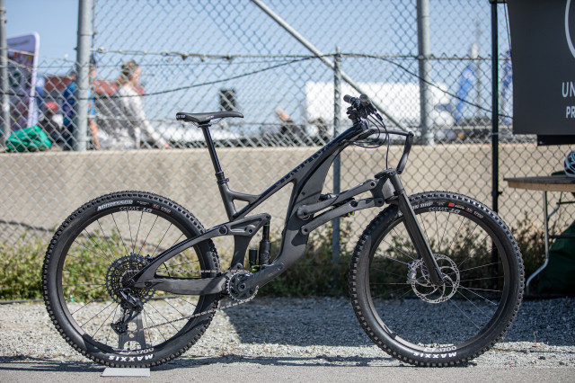 2022 Sea Otter Structure 003.jpg