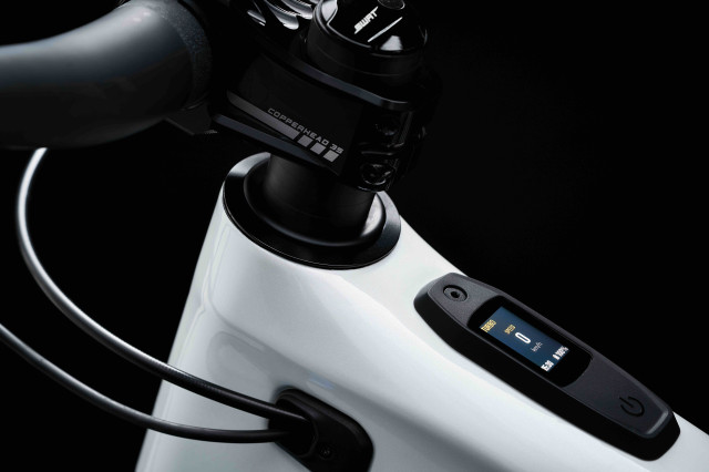 2022 Specialized Turbo Levo 10.jpg