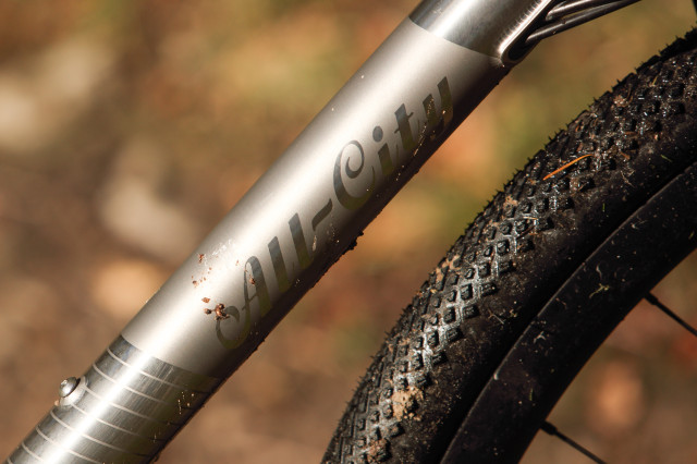 2022 all city cosmic stallion frame detail 1.jpg