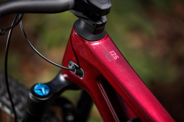 2022 canyon spectral 125 TT logo.jpg