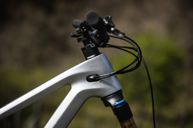 2022 canyon strive CFR headtube.JPG