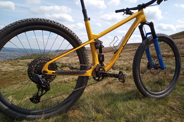 2022 carbon wasp Truffle 3q rear.jpg