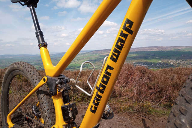 2022 carbon wasp Truffle down tube.jpg