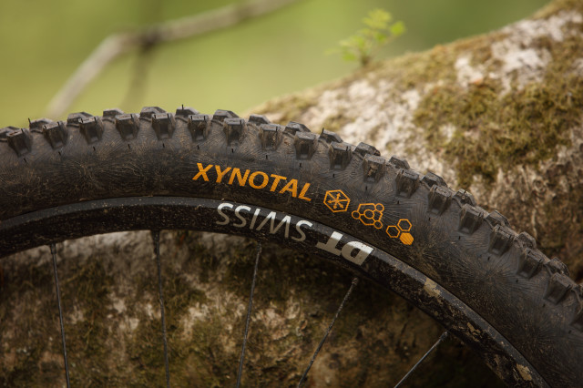 2022 continental xynotal logo.jpg