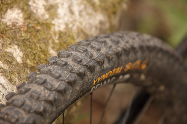 2022 continental xynotal tread.jpg