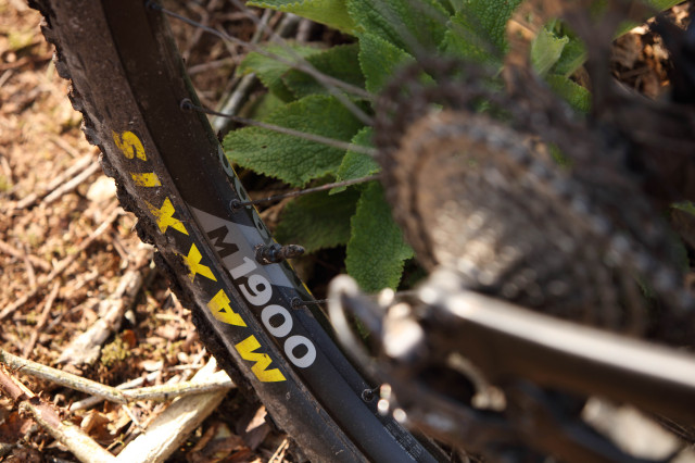 2022 dt swiss m 1900 spline 29 wheelset rim logo 2.jpg