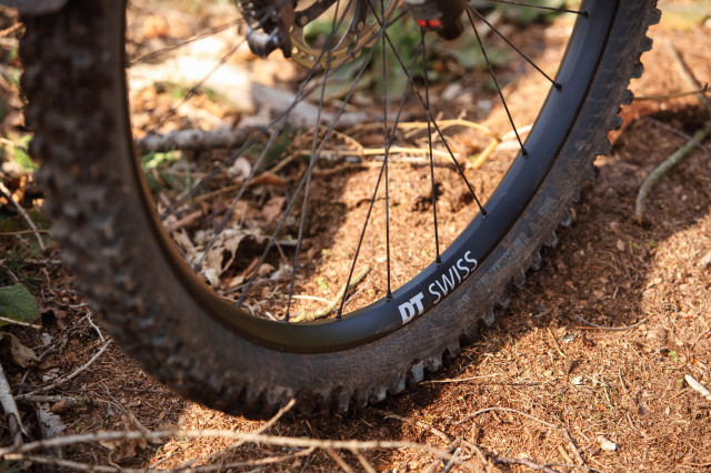2022 dt swiss m 1900 spline 29 wheelset rim logo.jpg