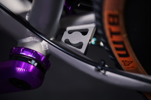 2022 esker lorax seat stay gusset.jpg