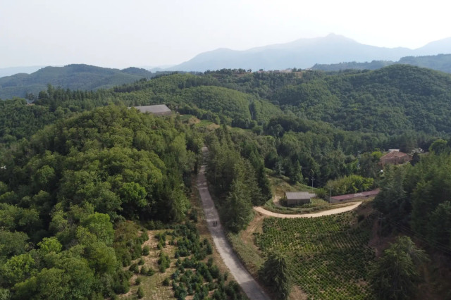2022 finley komoot girona landscape 1.jpg