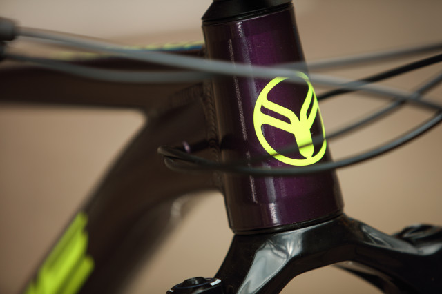 2022 forme black rocks ht1 head badge.jpg