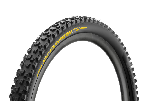 2022 pirelli scorpion race M DH.jpg