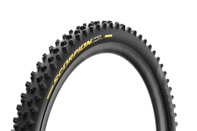 2022 pirelli scorpion race Mud DH.jpg