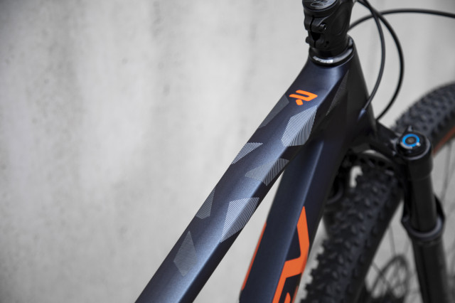 2022 ridley probe rs tt.jpg