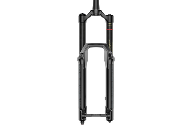 2022 rockshox domain studio straight.png