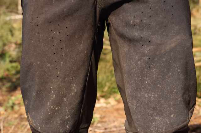2022 royal racing apex race pants perforations.jpg