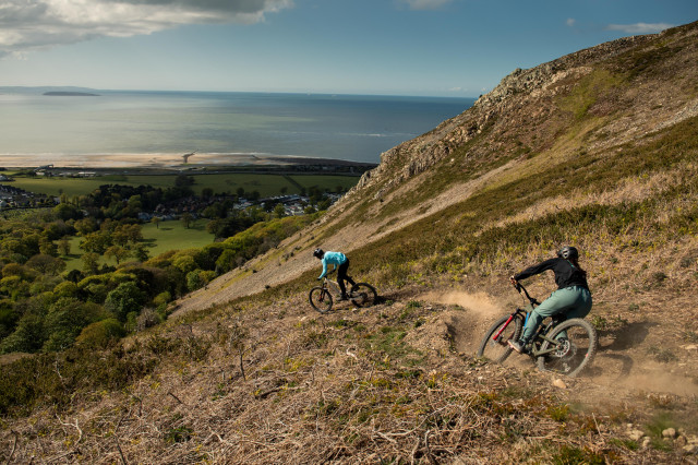 2022 santa cruz bronson action 2.jpg