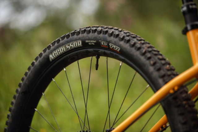 2022 santa cruz chameleon r 29 al rear tyre.jpg