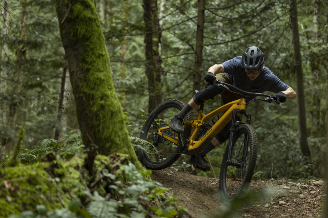 2022 trek fuel exe action.JPG