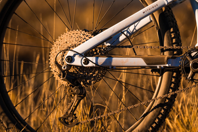 2022 vitus mythique rear.jpg